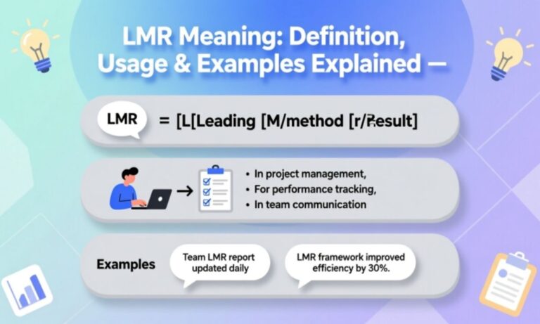 LMR Meaning Definition, Usage & Examples Explained